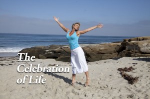 Life 8 inch Screen-IMG_5845